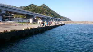 親不知港東堤から望む