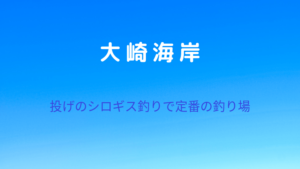 大崎海岸:投げのシロギス釣りで定番の釣り場